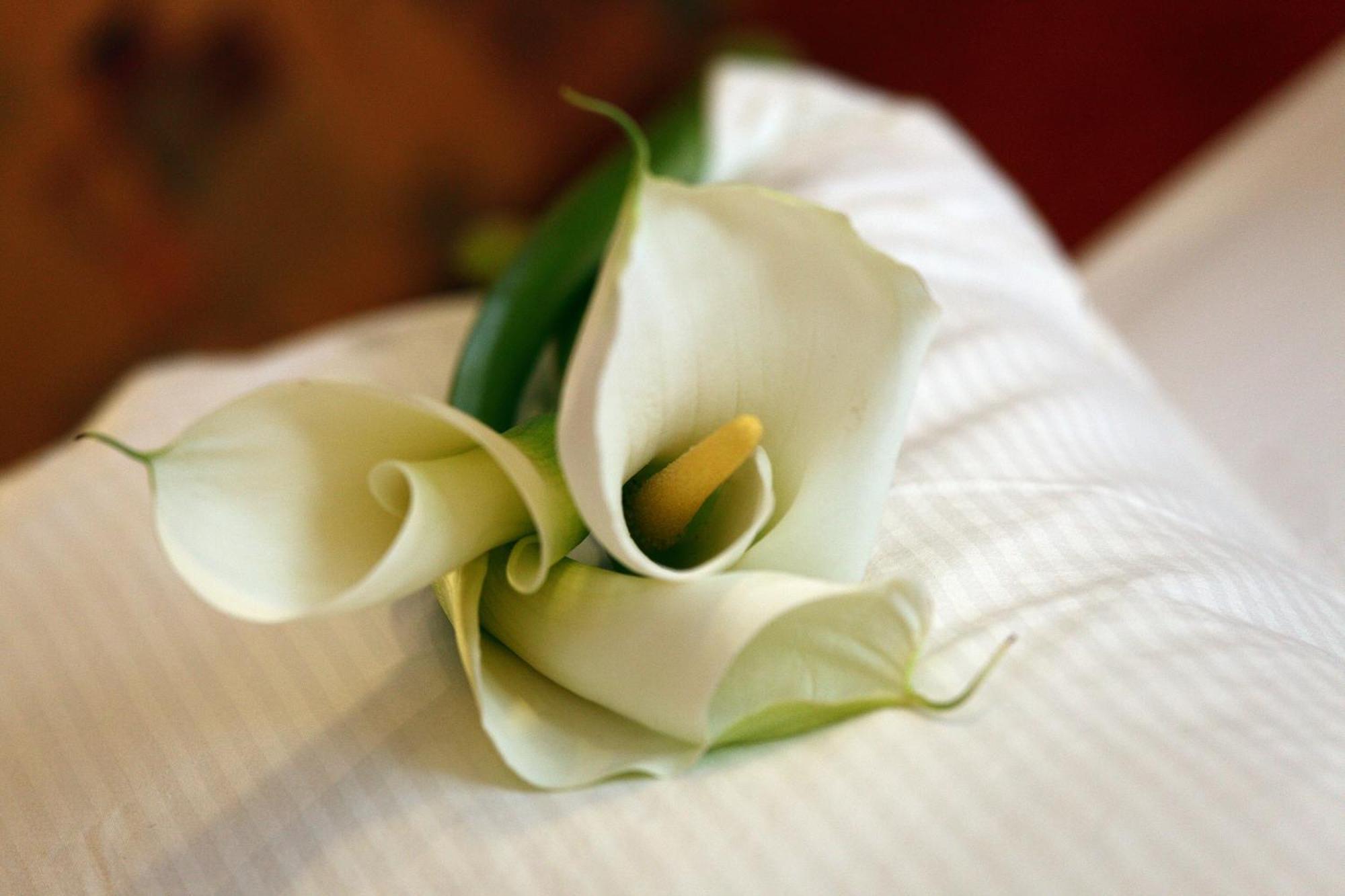 Wellness Hotel Zlata Lipa Decin Room photo