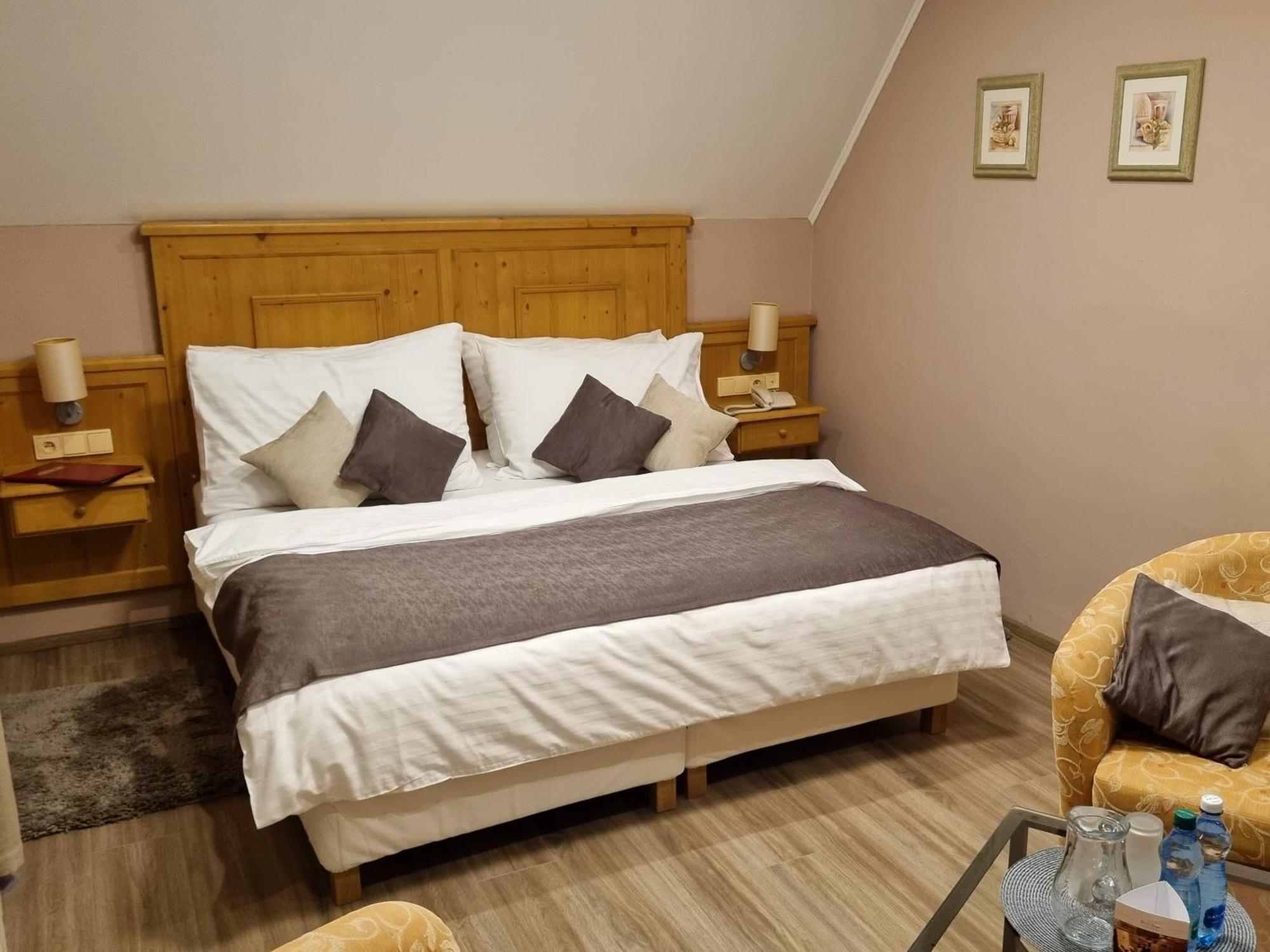 Wellness Hotel Zlata Lipa Decin Room photo